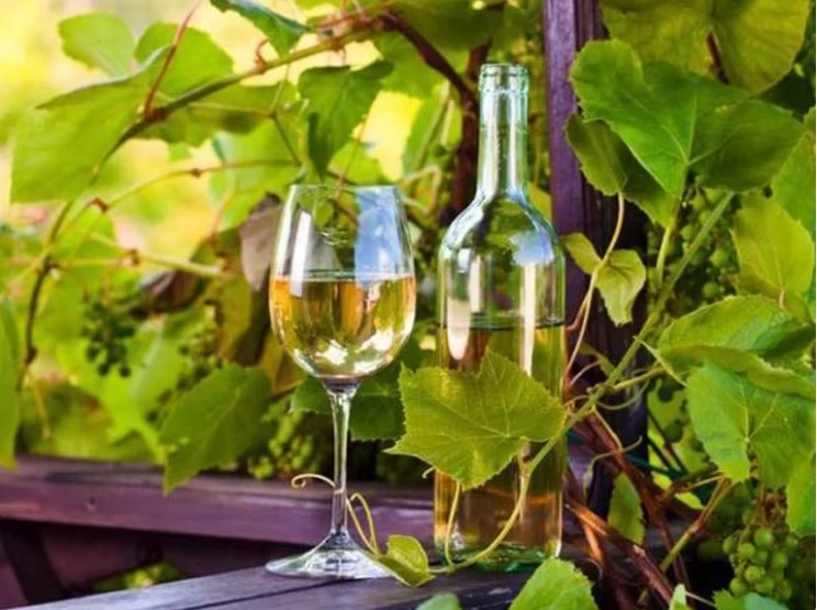 El Chardonnay argentino: una joya de la viticultura